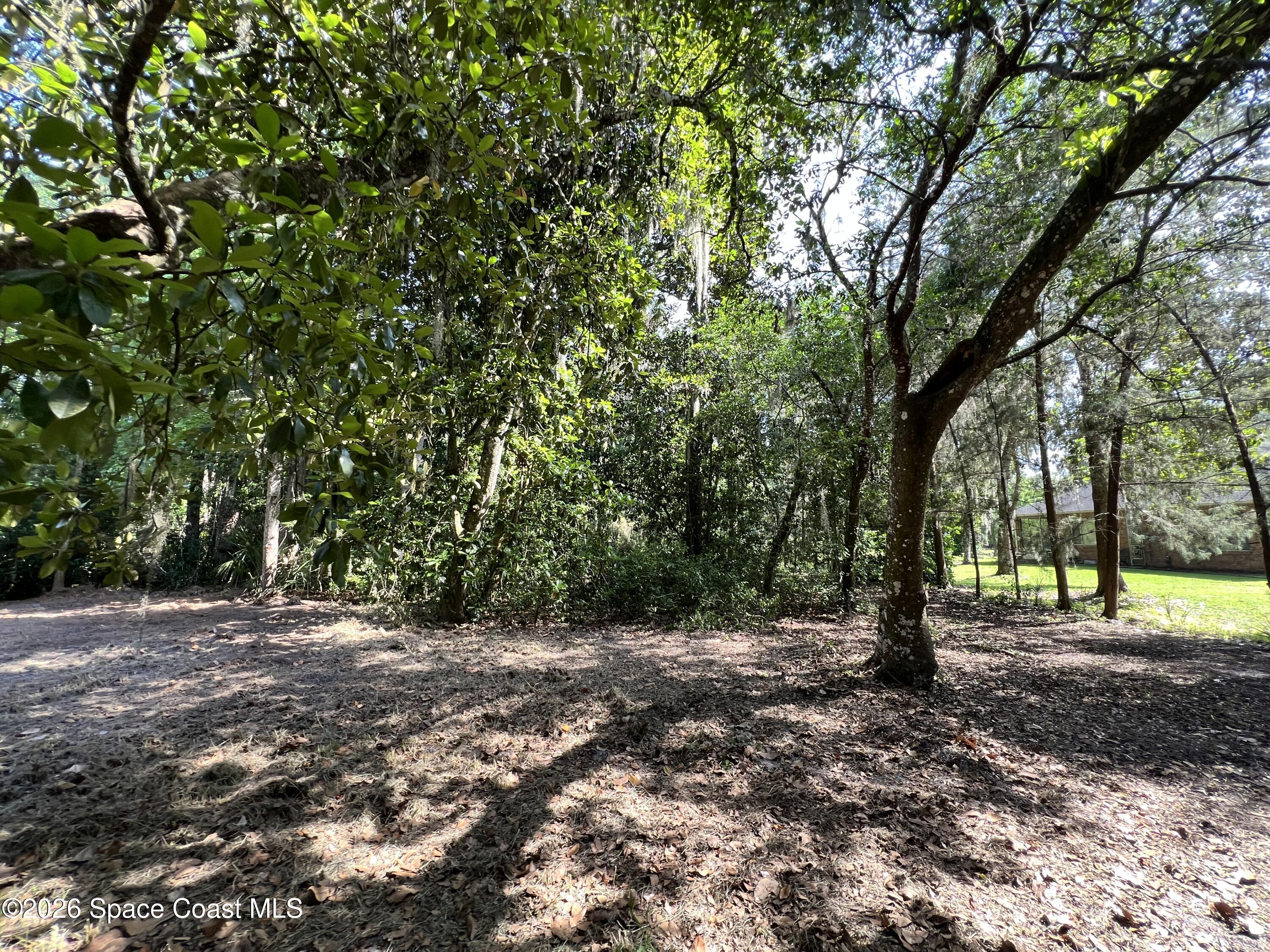 0 Carter Road Mims, FL 32754 - Photo 15 of 25 IMG_5412