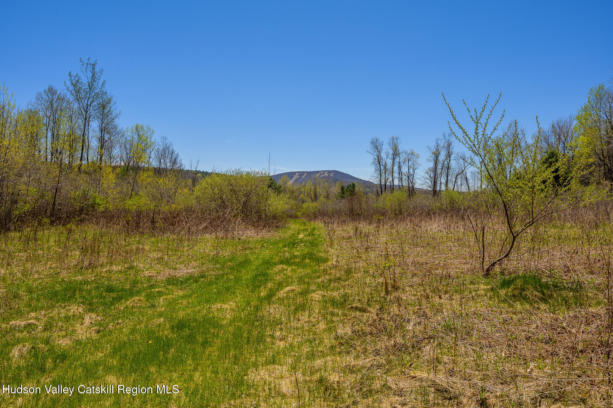 0 Mitchell Street Hillsdale, NY 12529 - Photo 18 of 31 Views toward Catamount