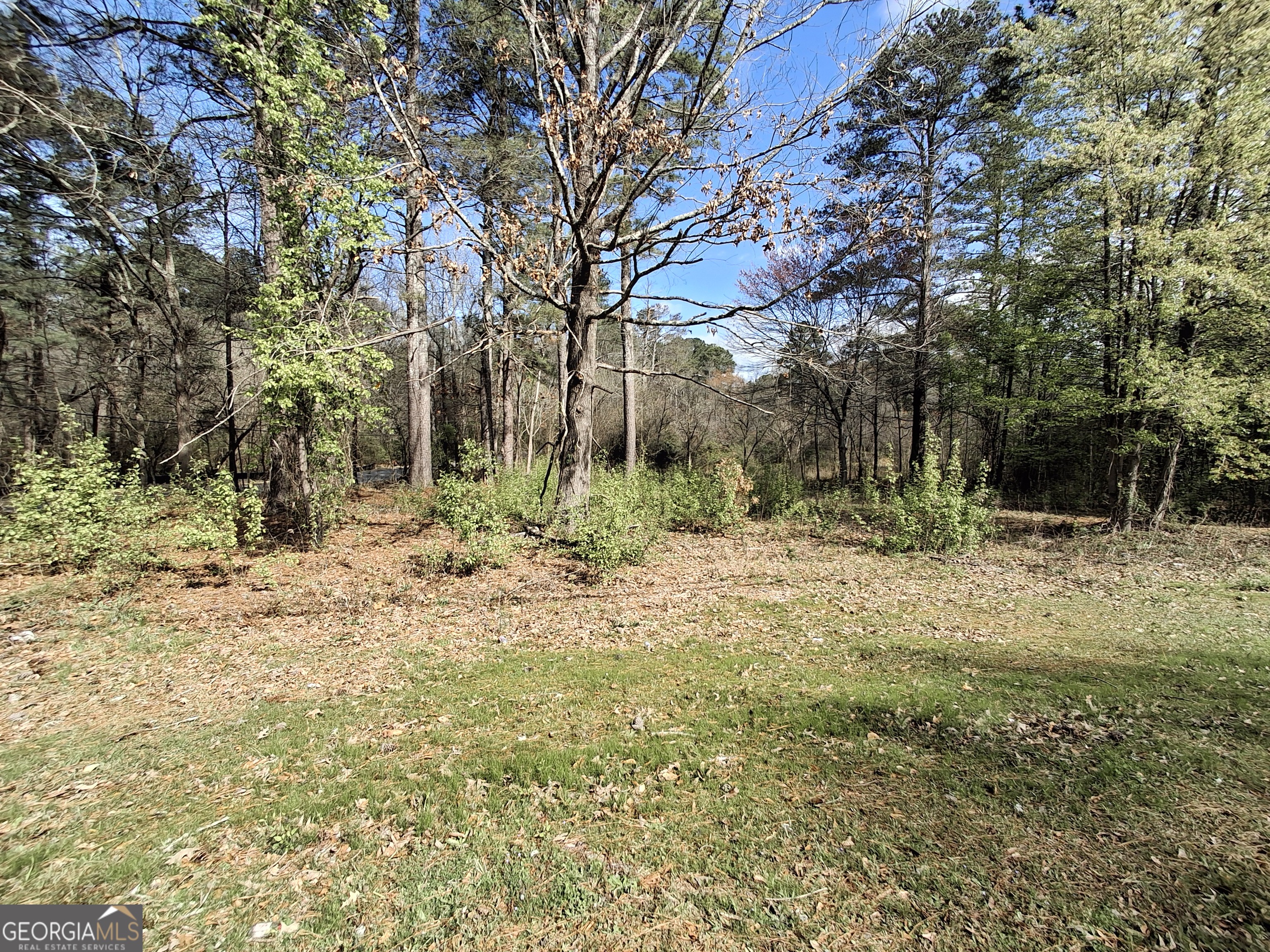 2334 Perkerson Mill Road Southwest Austell, GA 30106 - Photo 2 of 5 a backyard of a house with lots of green space