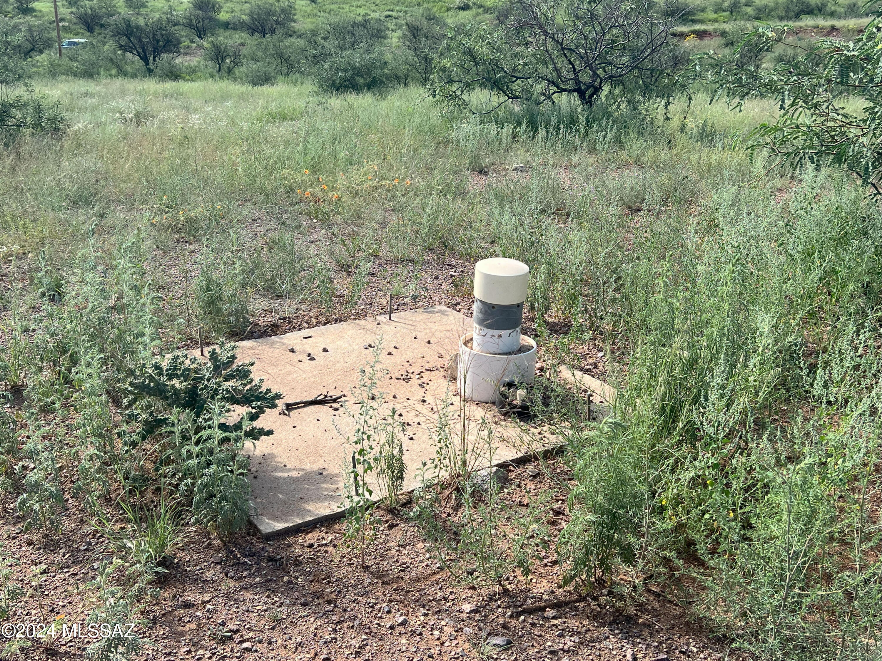 13910 West Jalisco Road Arivaca, AZ 85601 - Photo 5 of 10 a view of a forest from a yard