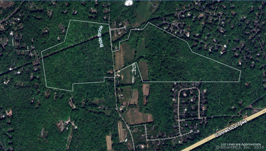 223 North Bridebrook Road East Lyme, CT 06333 - Photo 2 of 5 a view of a yard