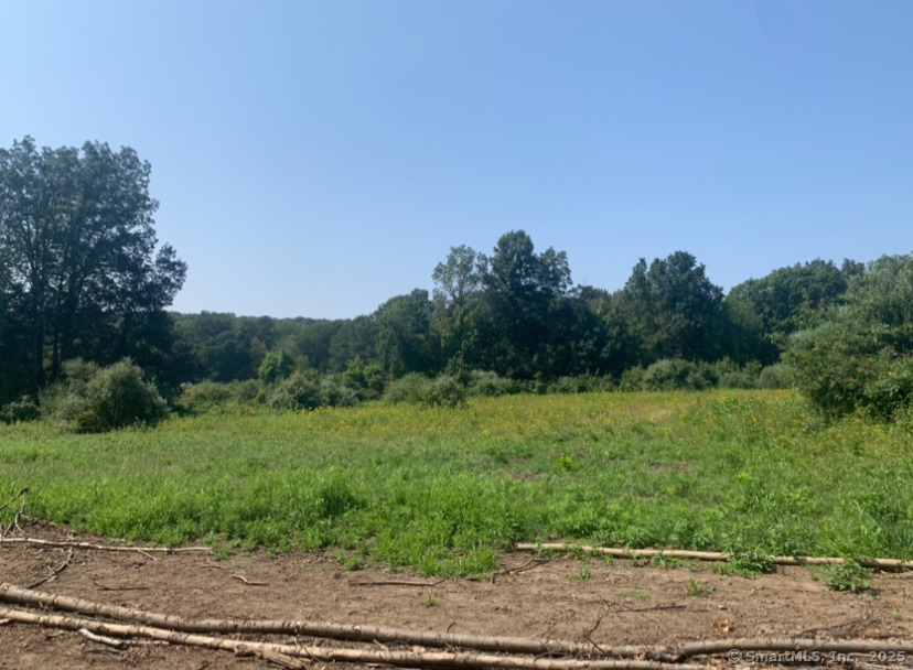 223 North Bridebrook Road East Lyme, CT 06333 - Photo 3 of 5 a view of a field of grass and trees