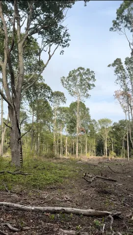 a view of house with a yard