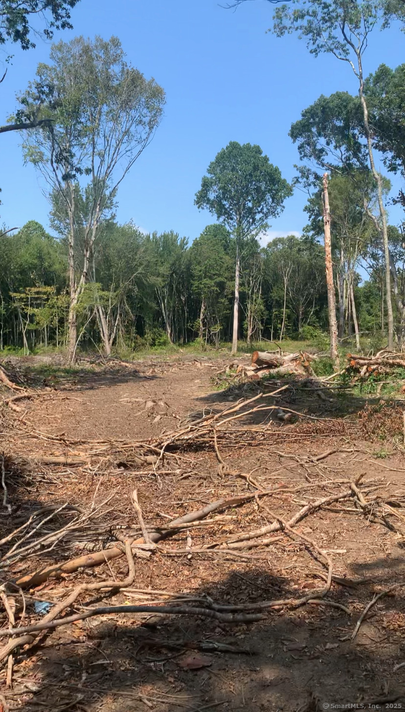 223 North Bridebrook Road East Lyme, CT 06333 - Photo 5 of 5 a backyard of a house with lots of green space
