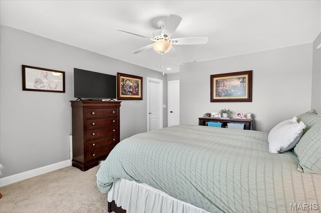 814 Ridge Road Waterloo, IL 62298 - Photo 39 of 84
