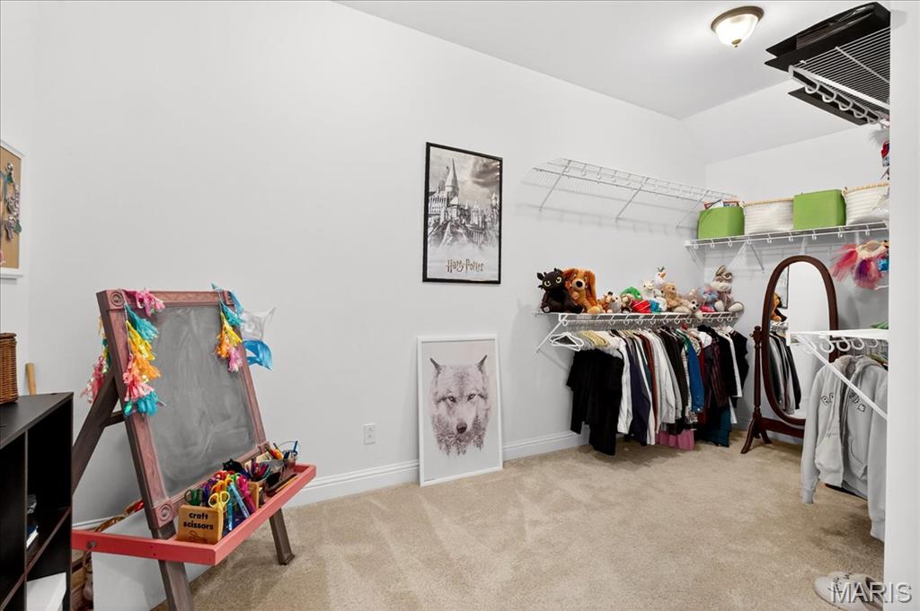 814 Ridge Road Waterloo, IL 62298 - Photo 40 of 84