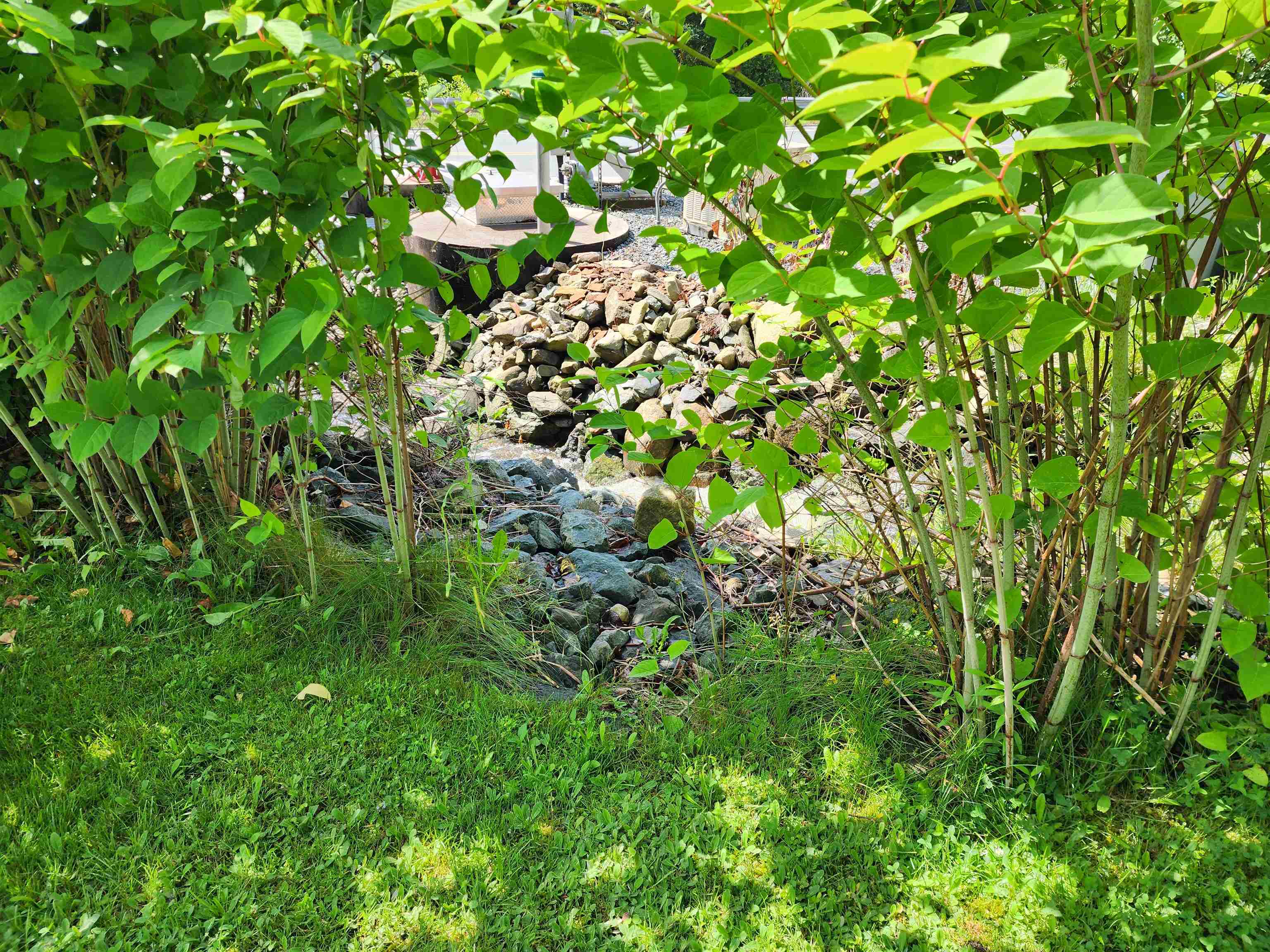 713 Highway 253 Canaan, VT 05902 - Photo 24 of 29