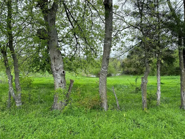 a view of yard with green space
