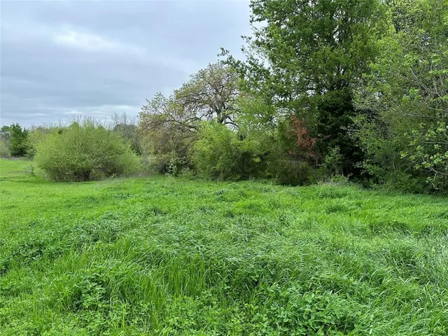 a view of a green field with lots of bushes