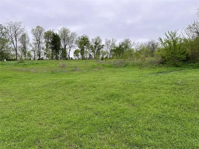 a backyard of a house with lots of green space and trees