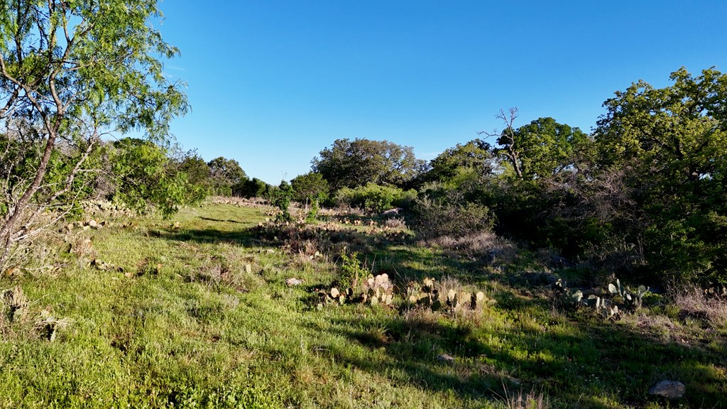 Tbd Tbd Madden Ranch Road Valley Spring, TX 76885 - Photo 36 of 46 Gallery Image 36