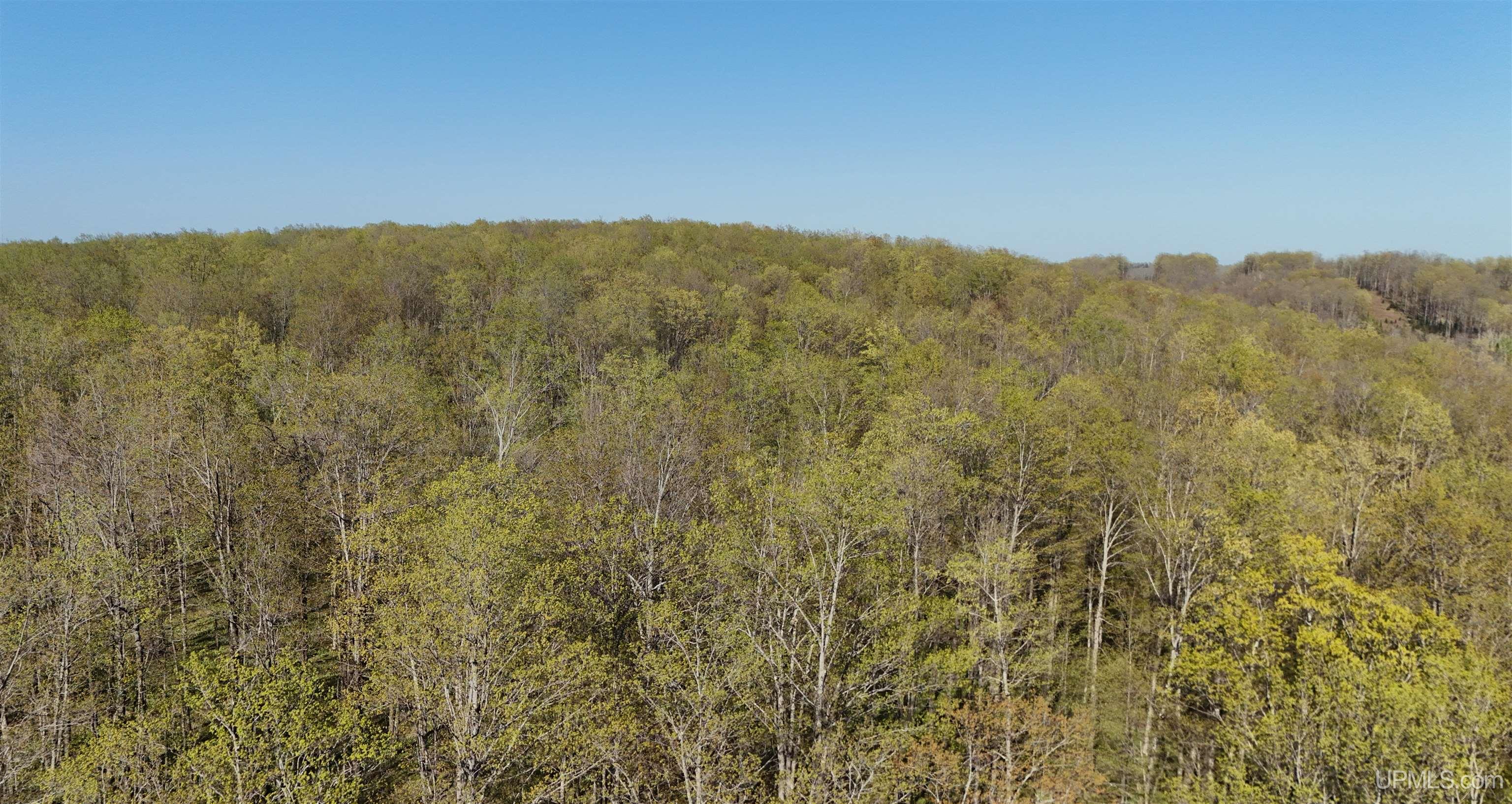 Tbd County Line Road Hermansville, MI 49847 - Photo 4 of 20