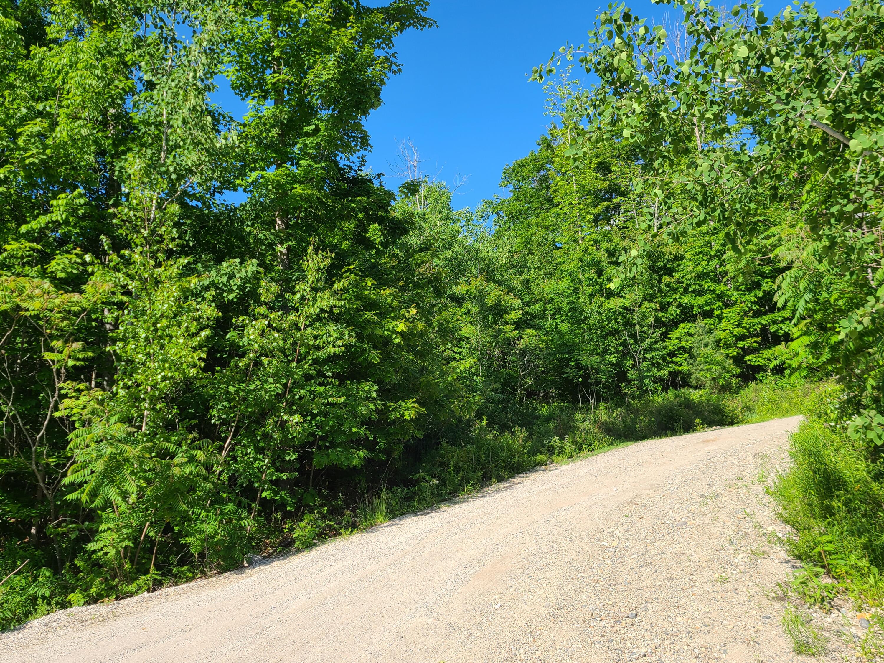 Lot 7 Parsonsfield Road Limerick, ME 04048 - Photo 5 of 13 20220606_165208