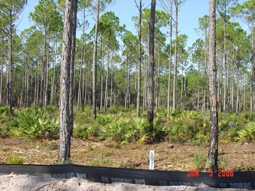 121 Fishhook Way, Unit LOT 342 Sopchoppy, FL 32358 - Photo 1 of 1