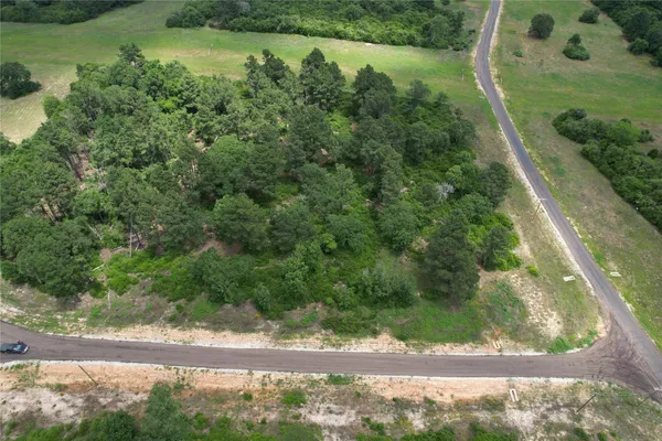 a view of a yard with a fountain