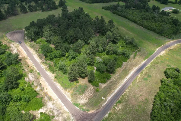 a view of a garden from a balcony