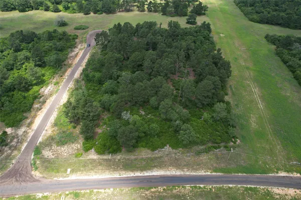 a view of a yard with large trees