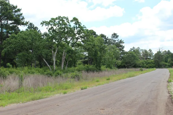 a view of a lake from a yard