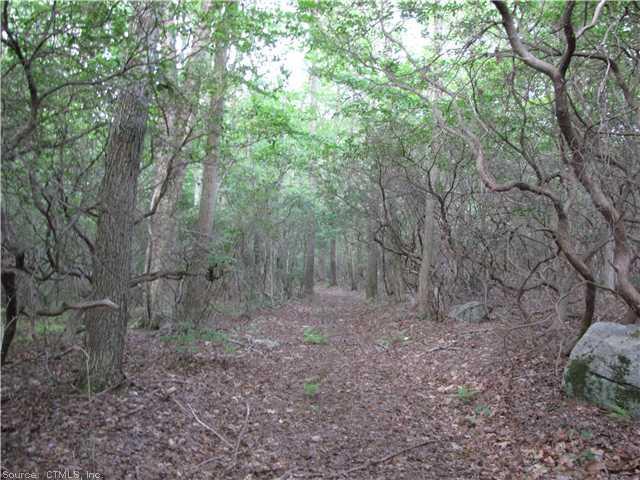 Lot 1 Killingworth Road Higganum, CT 06441 - Photo 1 of 1 a view of a forest with trees in the background