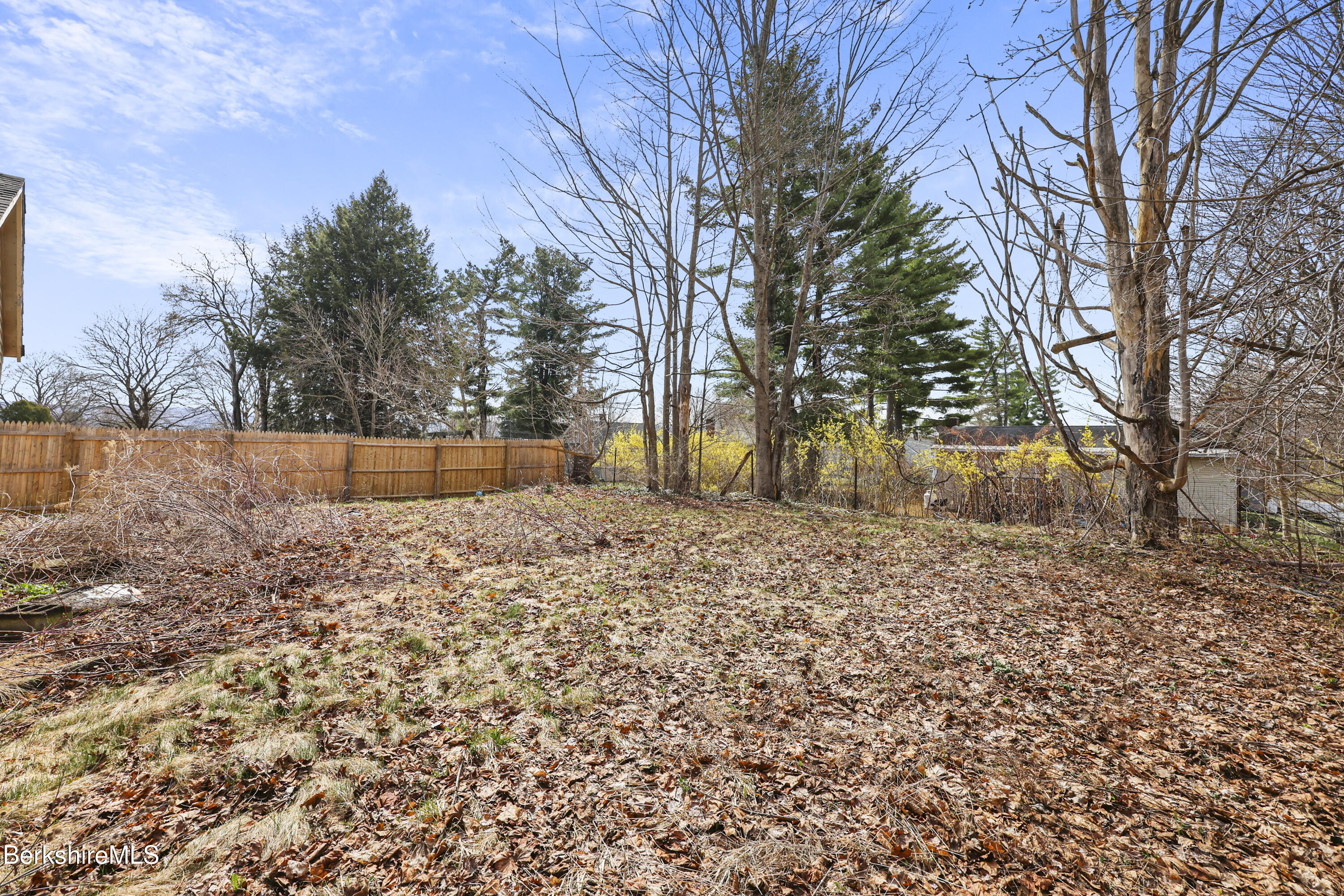 49 McArthur Street Pittsfield, MA 01201 - Photo 31 of 33 a backyard of house with a trees
