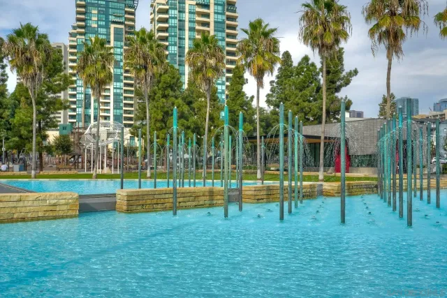 a view of a park with palm trees and a yard