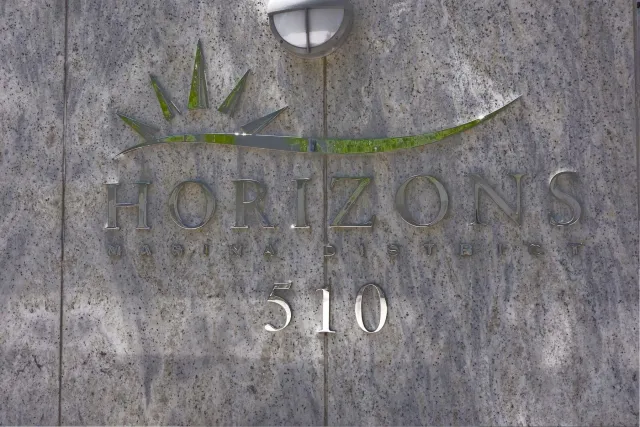 a view of a big yard and large trees