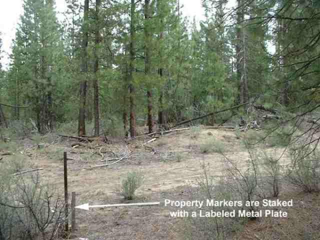 0 Yellowpine Beatty, OR 97621 - Photo 3 of 8 Additional Photo