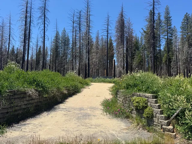 a view of a backyard of a house