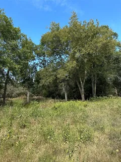 a backyard of a house with lots of trees