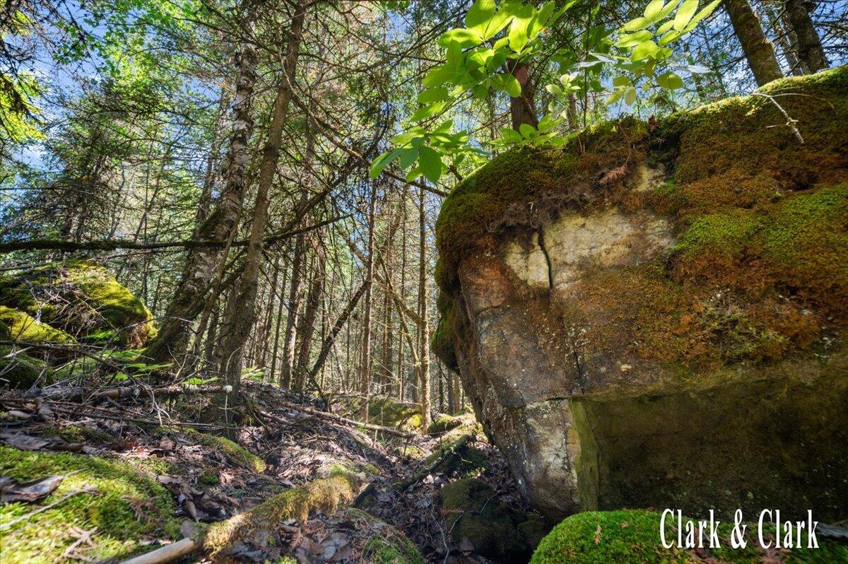 35965 South Humms Road Drummond Island, MI 49726 - Photo 68 of 73 143-WOODS 09A