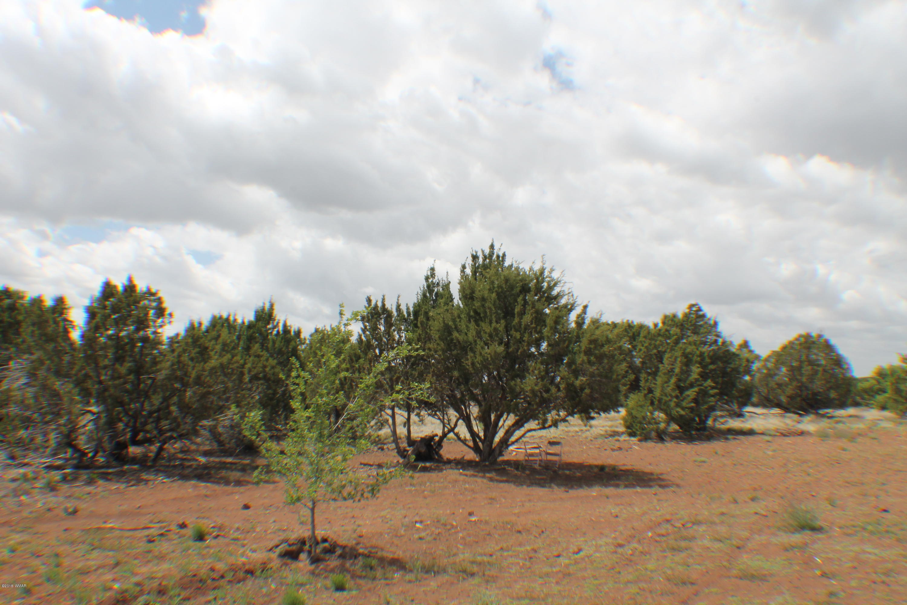 Parcel C Bourdon Ranch Road Show Low, AZ 85901 - Photo 2 of 12