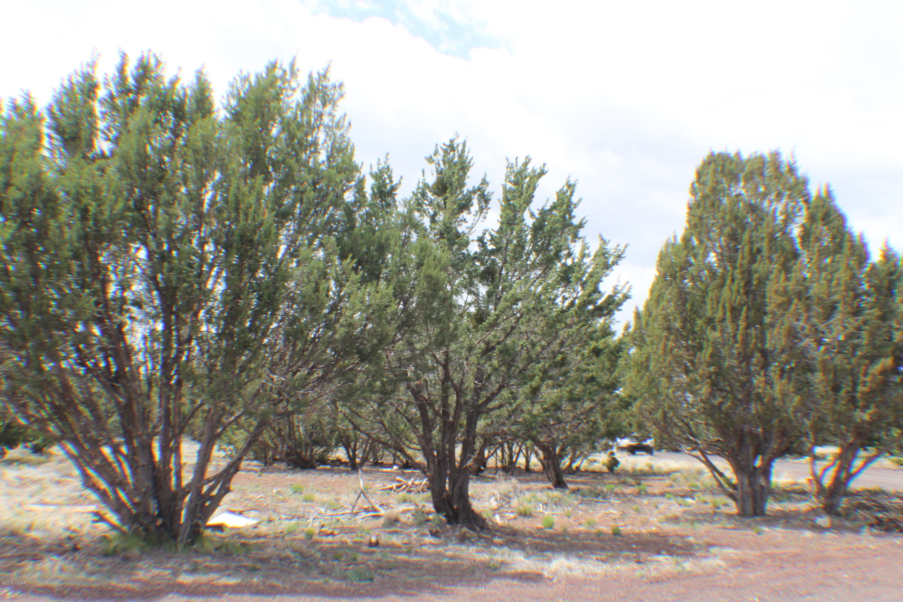 Parcel C Bourdon Ranch Road Show Low, AZ 85901 - Photo 4 of 12