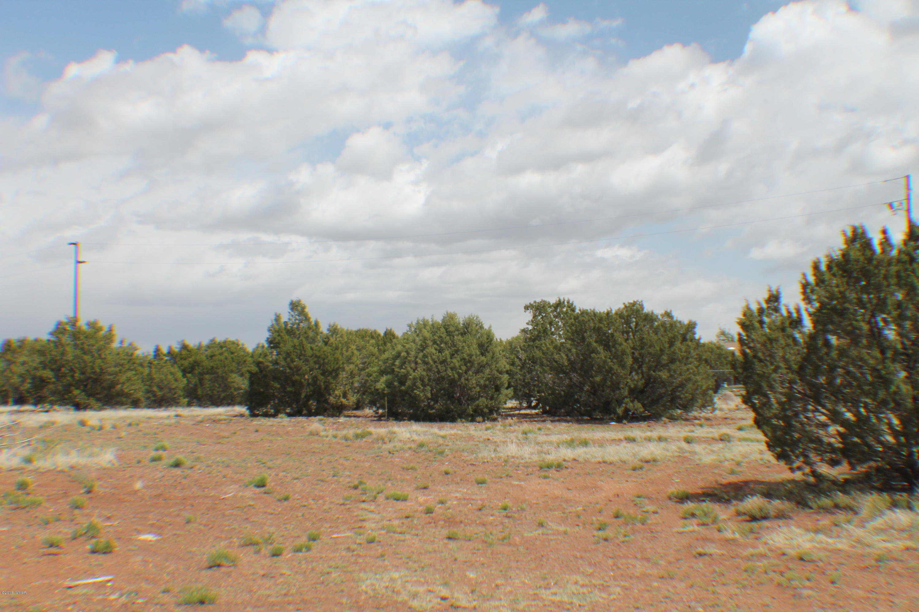 Parcel C Bourdon Ranch Road Show Low, AZ 85901 - Photo 5 of 12
