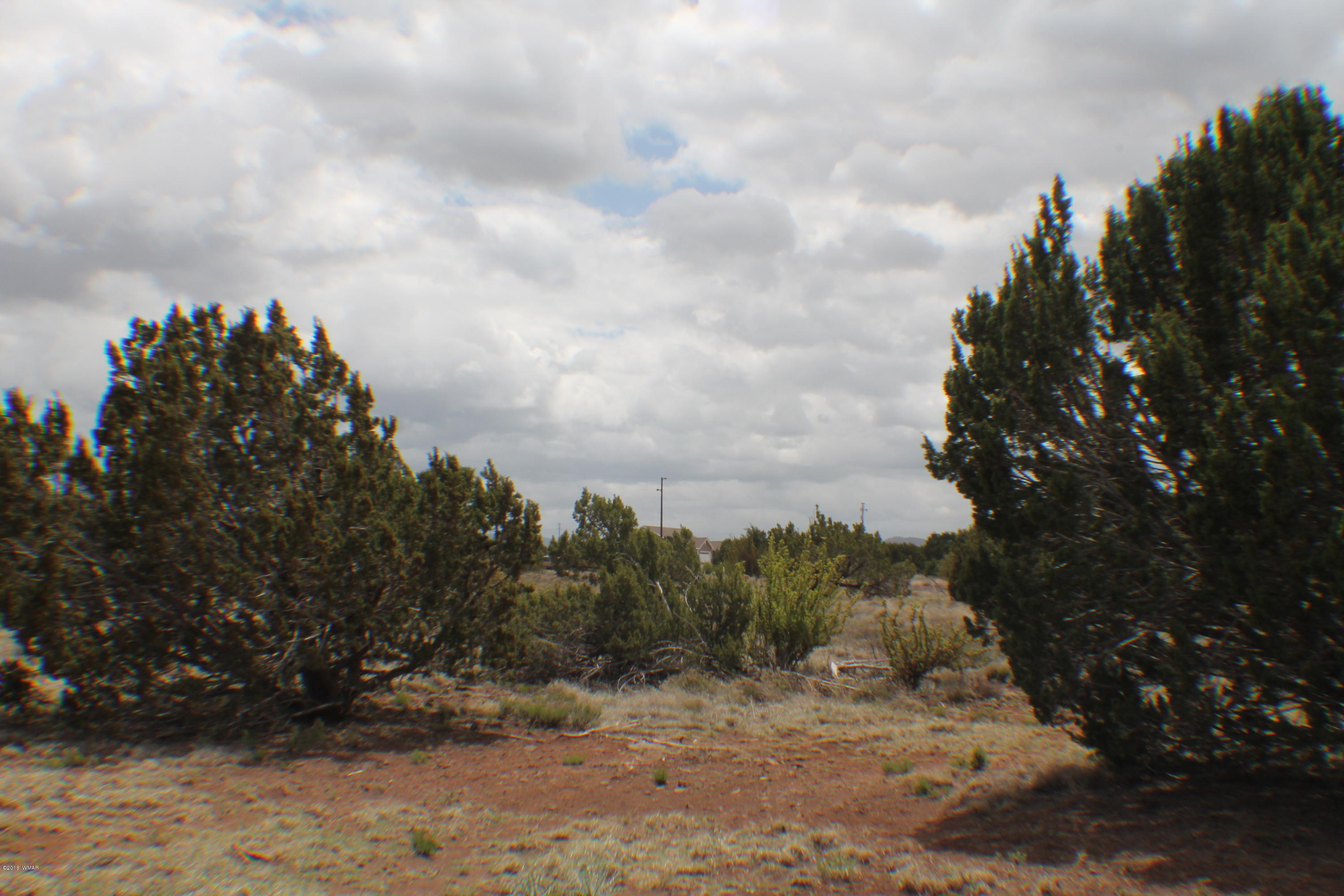 Parcel C Bourdon Ranch Road Show Low, AZ 85901 - Photo 7 of 12
