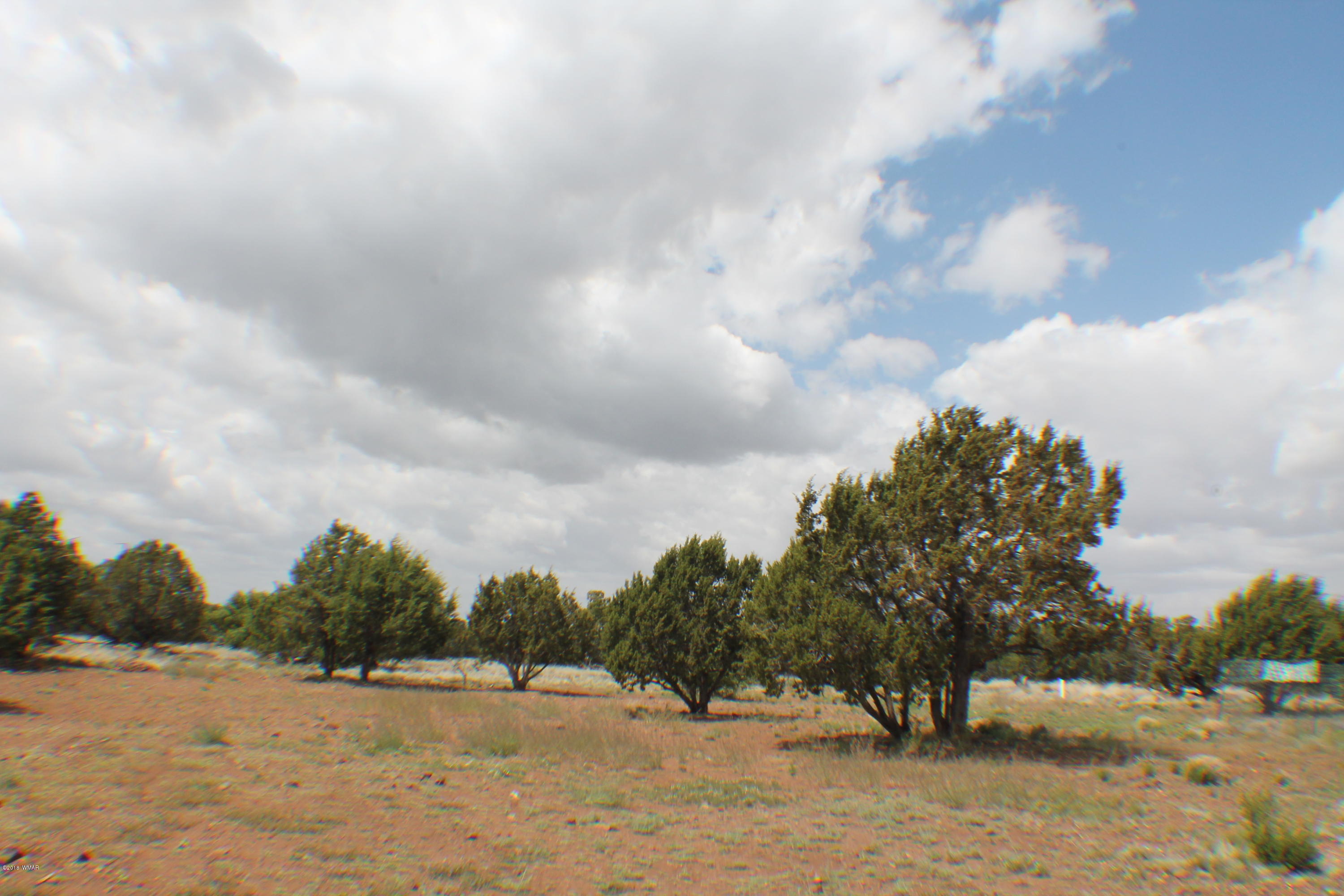 Parcel C Bourdon Ranch Road Show Low, AZ 85901 - Photo 10 of 12