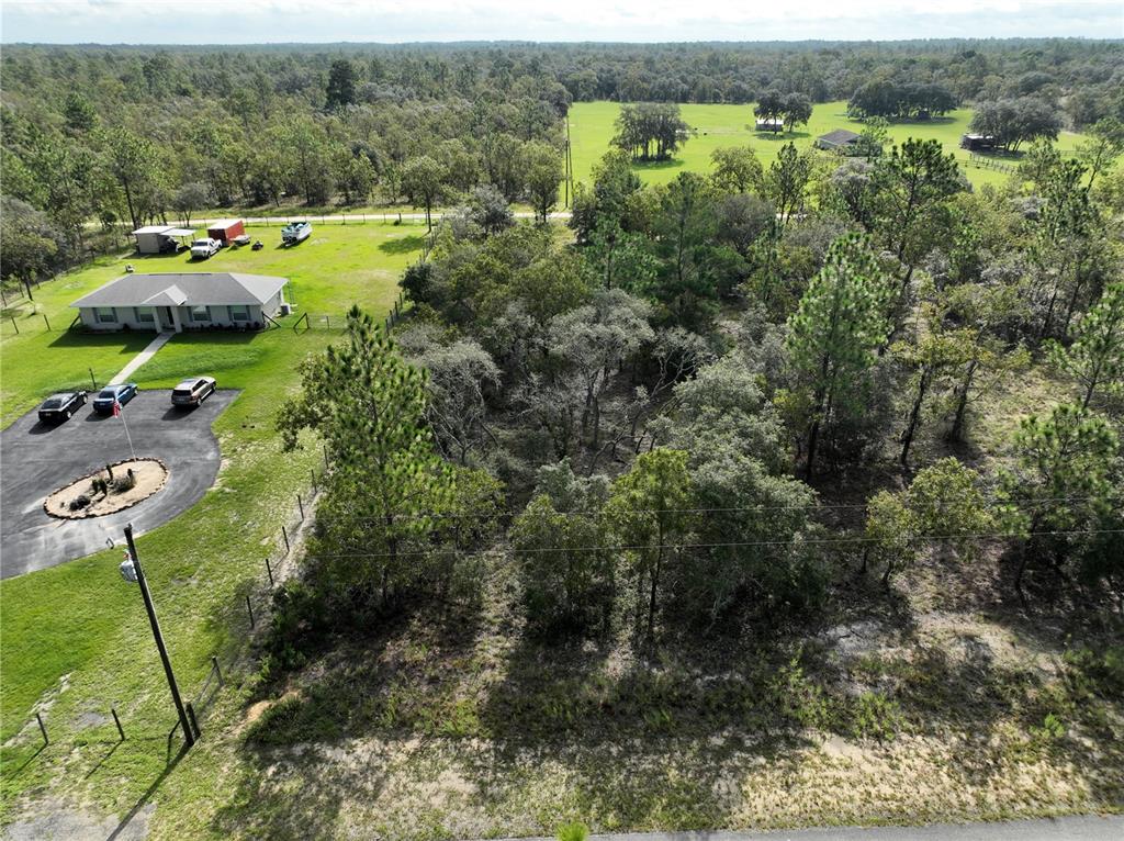 Tbd Southeast 129th Court Dunnellon, FL 34431 - Photo 12 of 25 a view of a forest with a yard