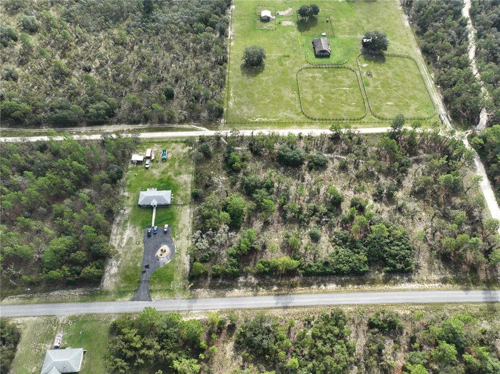 Tbd Southeast 129th Court Dunnellon, FL 34431 - Photo 17 of 25 a view of a yard with plants