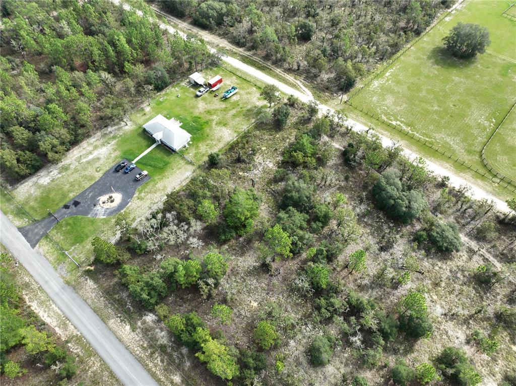 Tbd Southeast 129th Court Dunnellon, FL 34431 - Photo 18 of 25 a view of a yard with yellow plants
