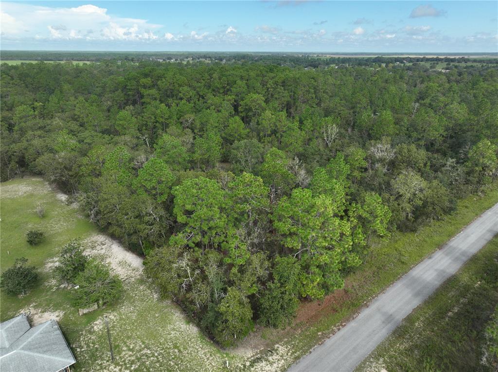 Tbd Southeast 129th Court Dunnellon, FL 34431 - Photo 19 of 25 a view of a garden