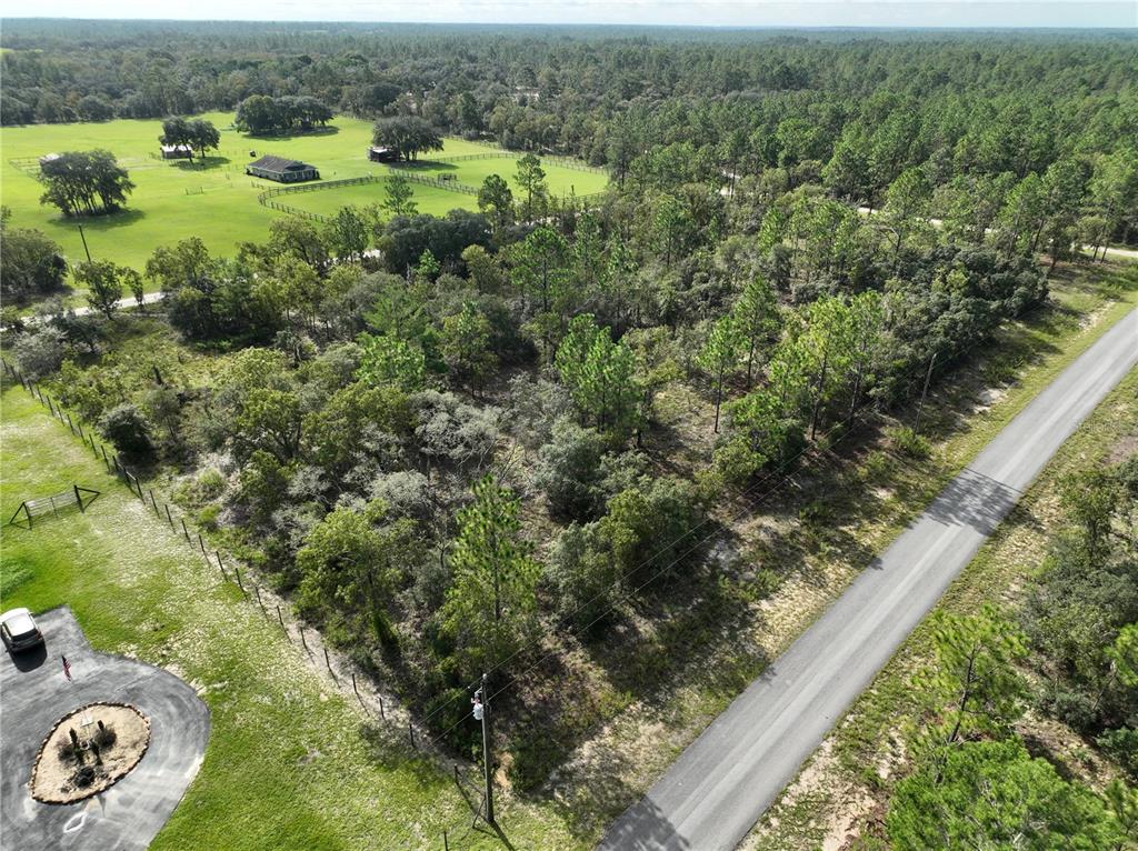 Tbd Southeast 129th Court Dunnellon, FL 34431 - Photo 2 of 25 a view of a lush green forest with lots of trees