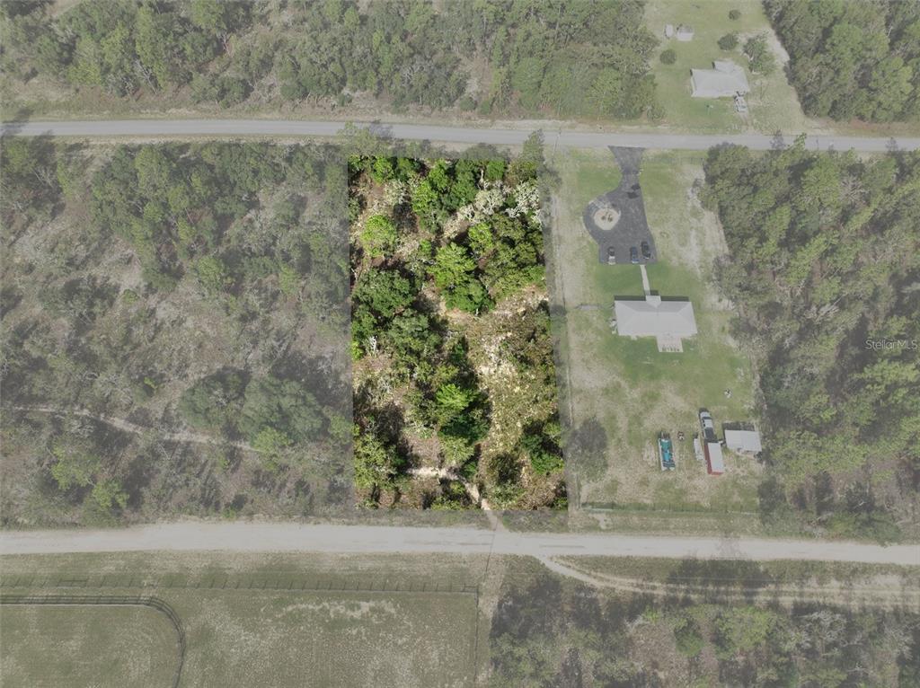 Tbd Southeast 129th Court Dunnellon, FL 34431 - Photo 3 of 25 a view of a yard with road