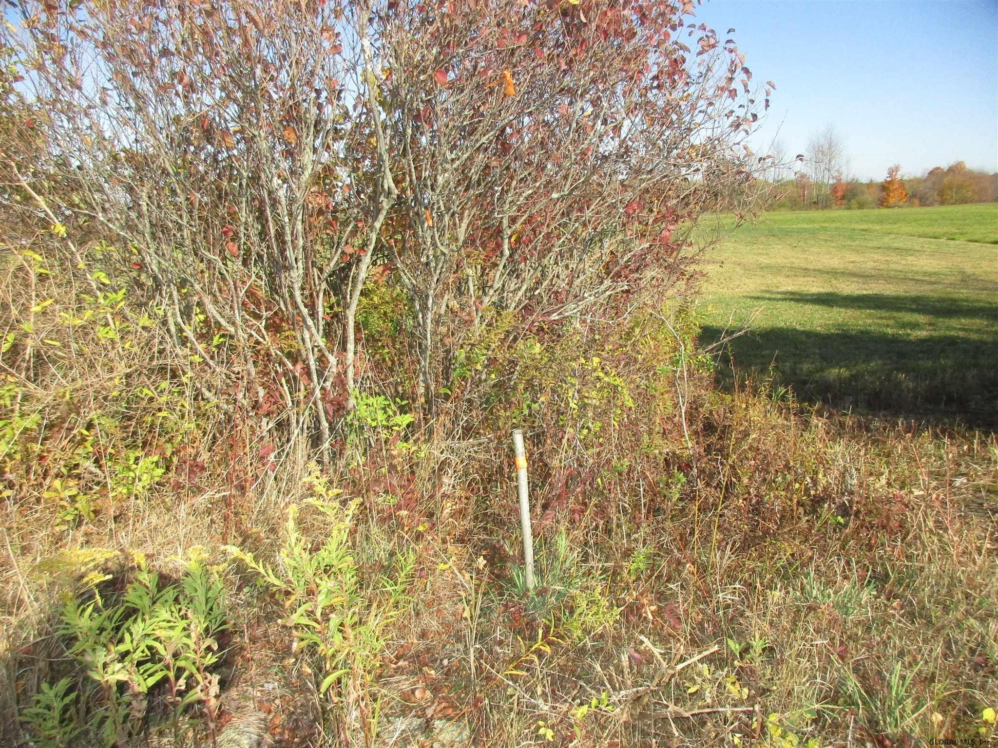 0 Chadwick Road, Unit LOT #3 Delanson, NY 12053 - Photo 4 of 8 Photo 4