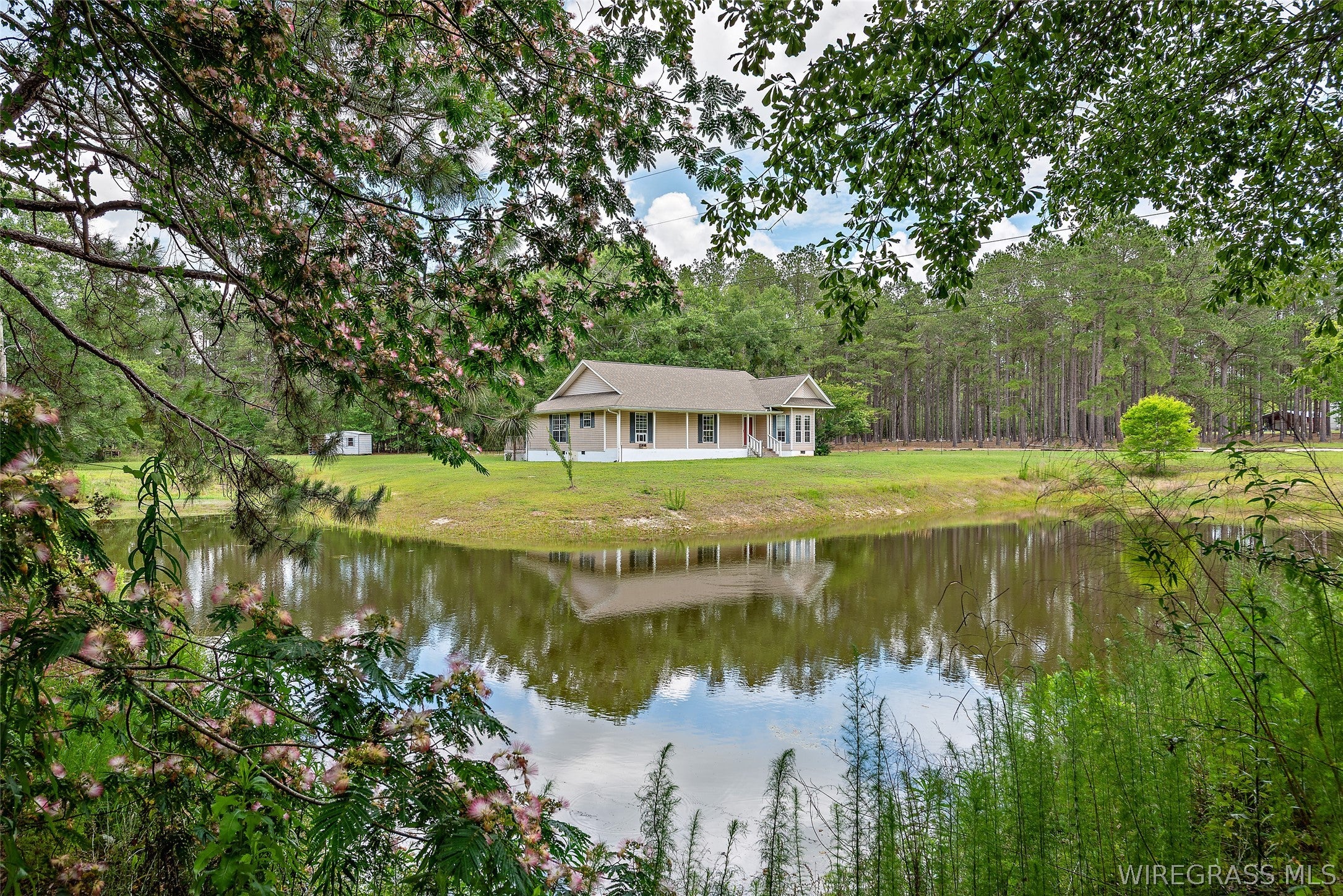 13308 Highway 52 Samson, AL 36477 - Photo 7 of 34 Gallery Image 7