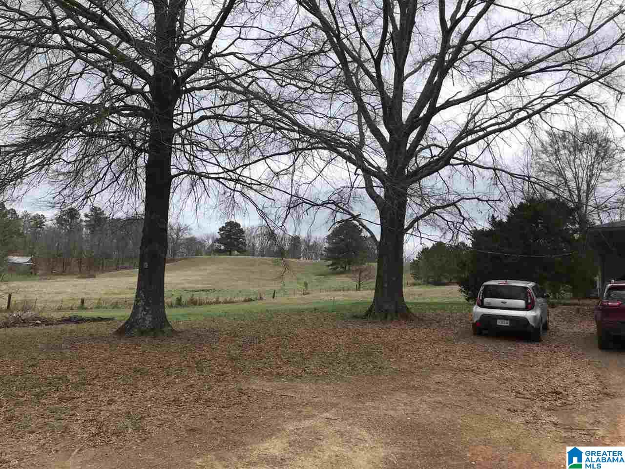 550 Tabernacle Road Locust Fork, AL 35097 - Photo 12 of 19