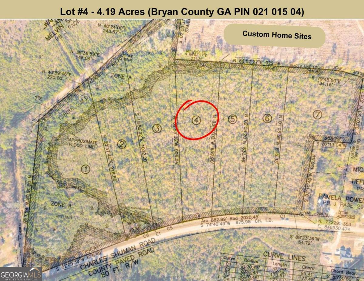 Lot 4 Charles Shuman Road Pembroke, GA 31321 - Photo 5 of 6