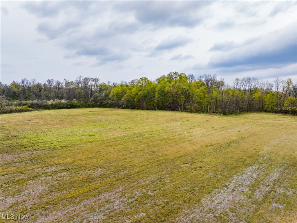 511 State Route Ashland, OH 44805 - Photo 29 of 42 View of landscape featuring a wooded view