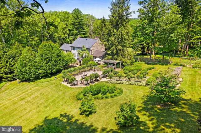 a view of a garden with plants