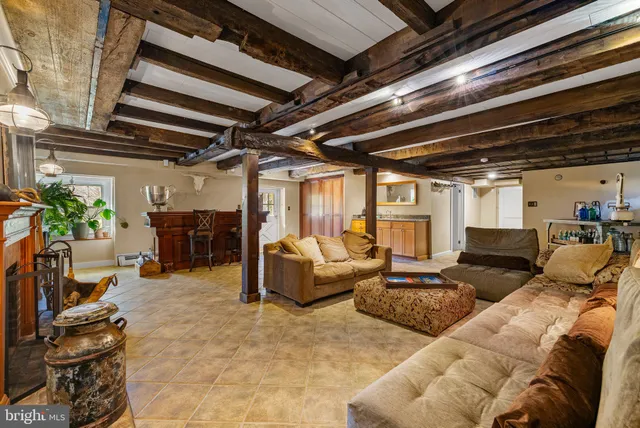 a view of a garden with plants