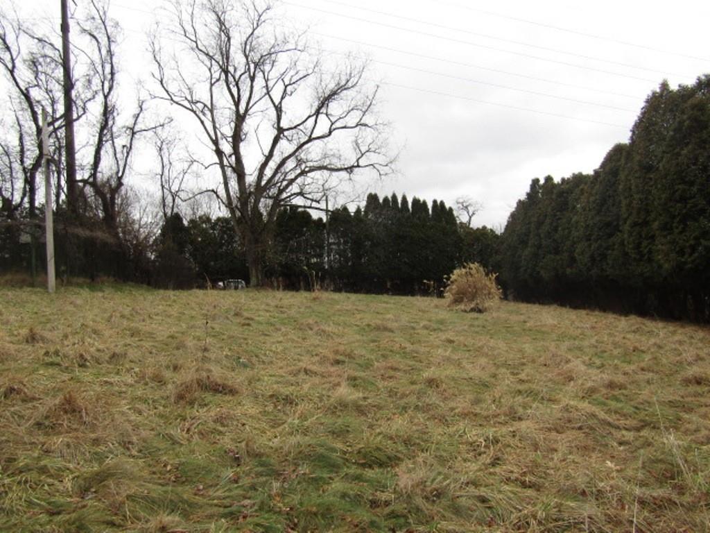 232 Crestview Road Pittsburgh, PA 15235 - Photo 22 of 30 a view of outdoor space and yard