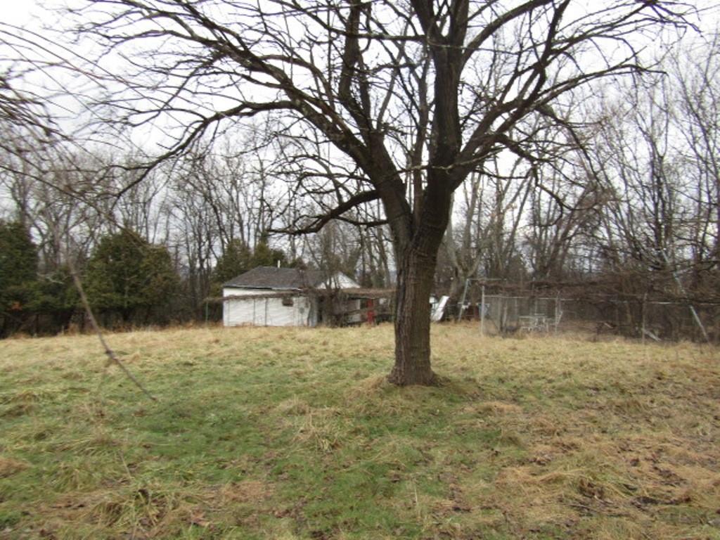 232 Crestview Road Pittsburgh, PA 15235 - Photo 24 of 30 a backyard of a house with lots of green space